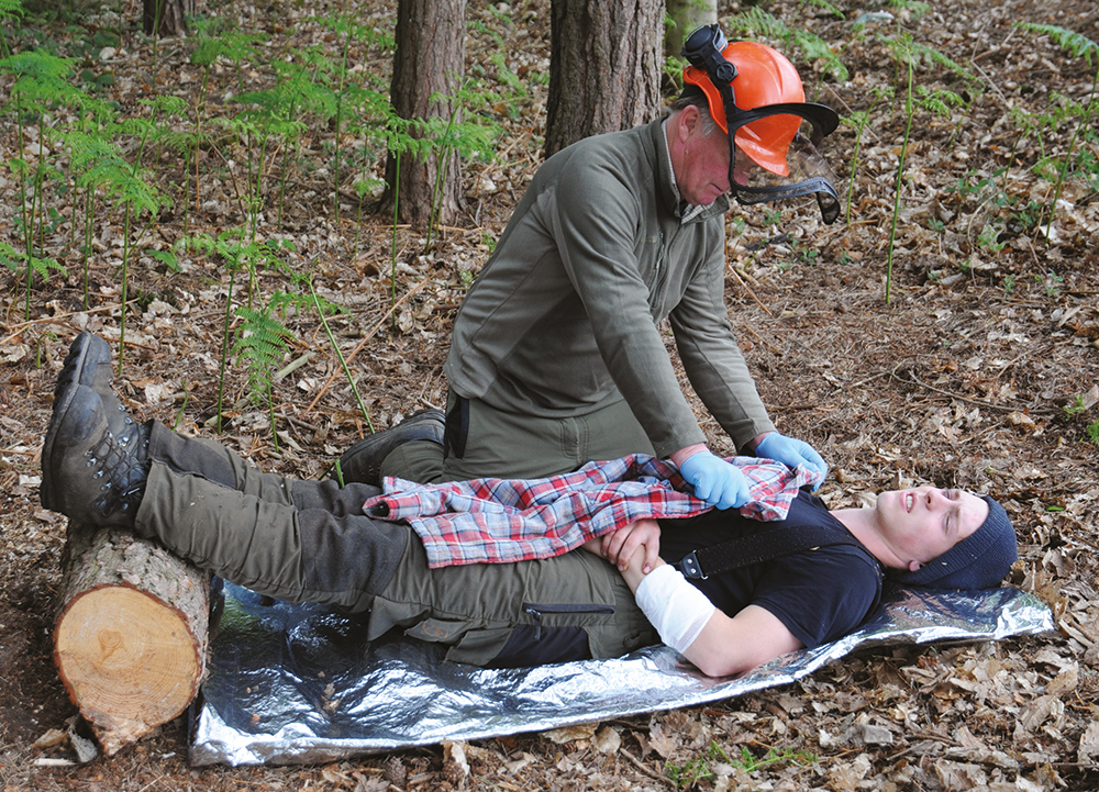 forestry first aid treatment